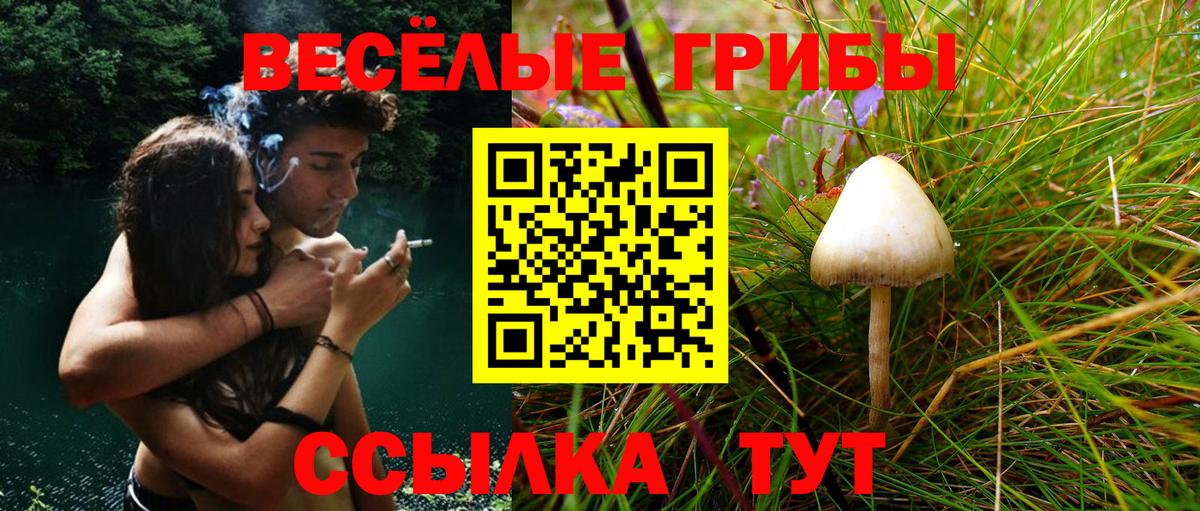 Галлюциногенные грибы Cubensis  Вход с VPN  Нурлат 